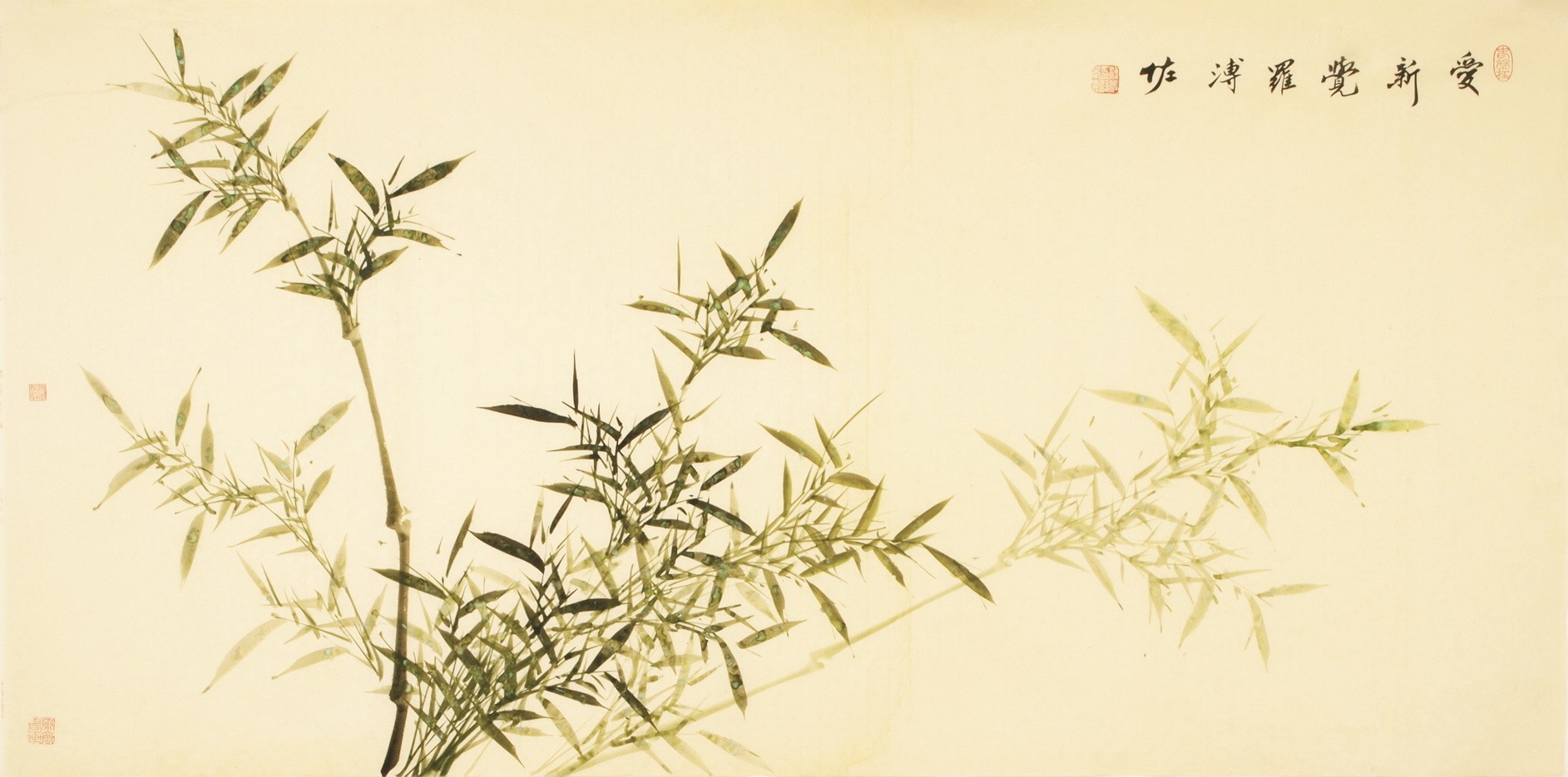 Green Bamboo - CNAG003160