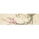 Other Birds - CNAG003161