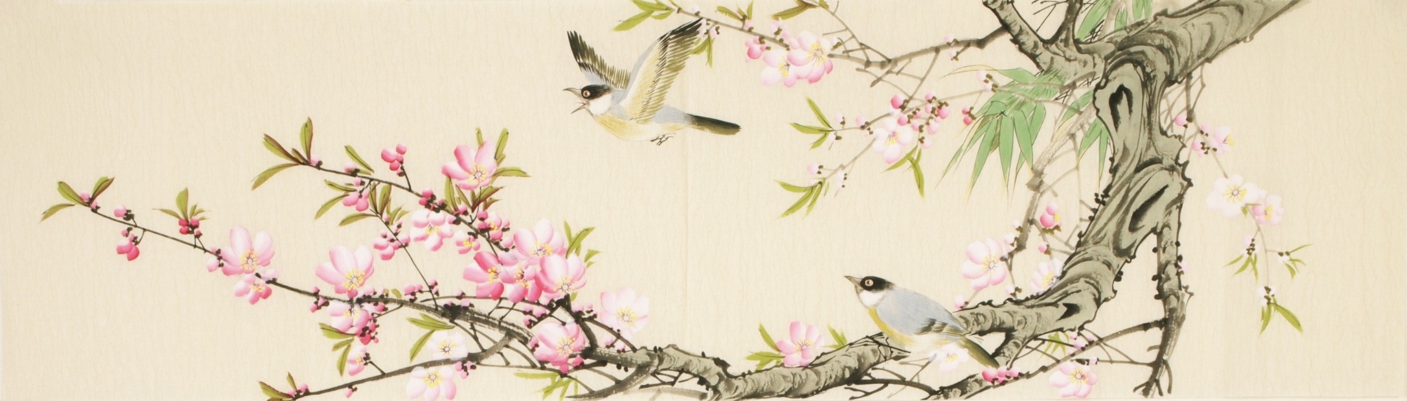 Other Birds - CNAG003161