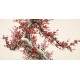 Plum - CNAG003162