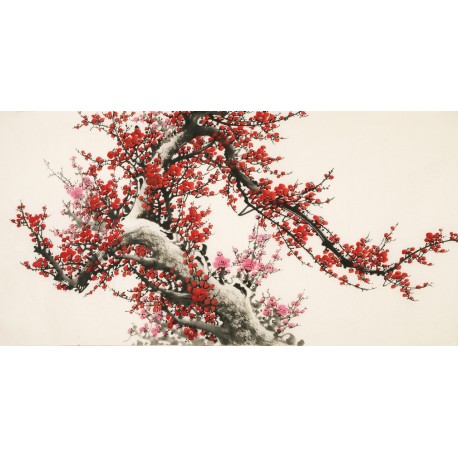 Plum - CNAG003162
