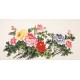 Peony - CNAG003167