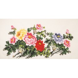 Peony - CNAG003167