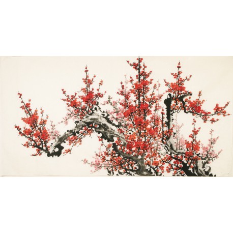 Plum - CNAG003172