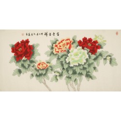 Peony - CNAG003173