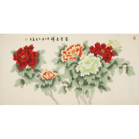 Peony - CNAG003173