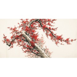 Plum - CNAG003174