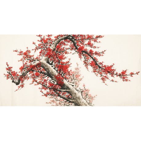 Plum - CNAG003174