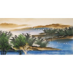 Aquarene - CNAG003177