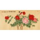 Peony - CNAG003183