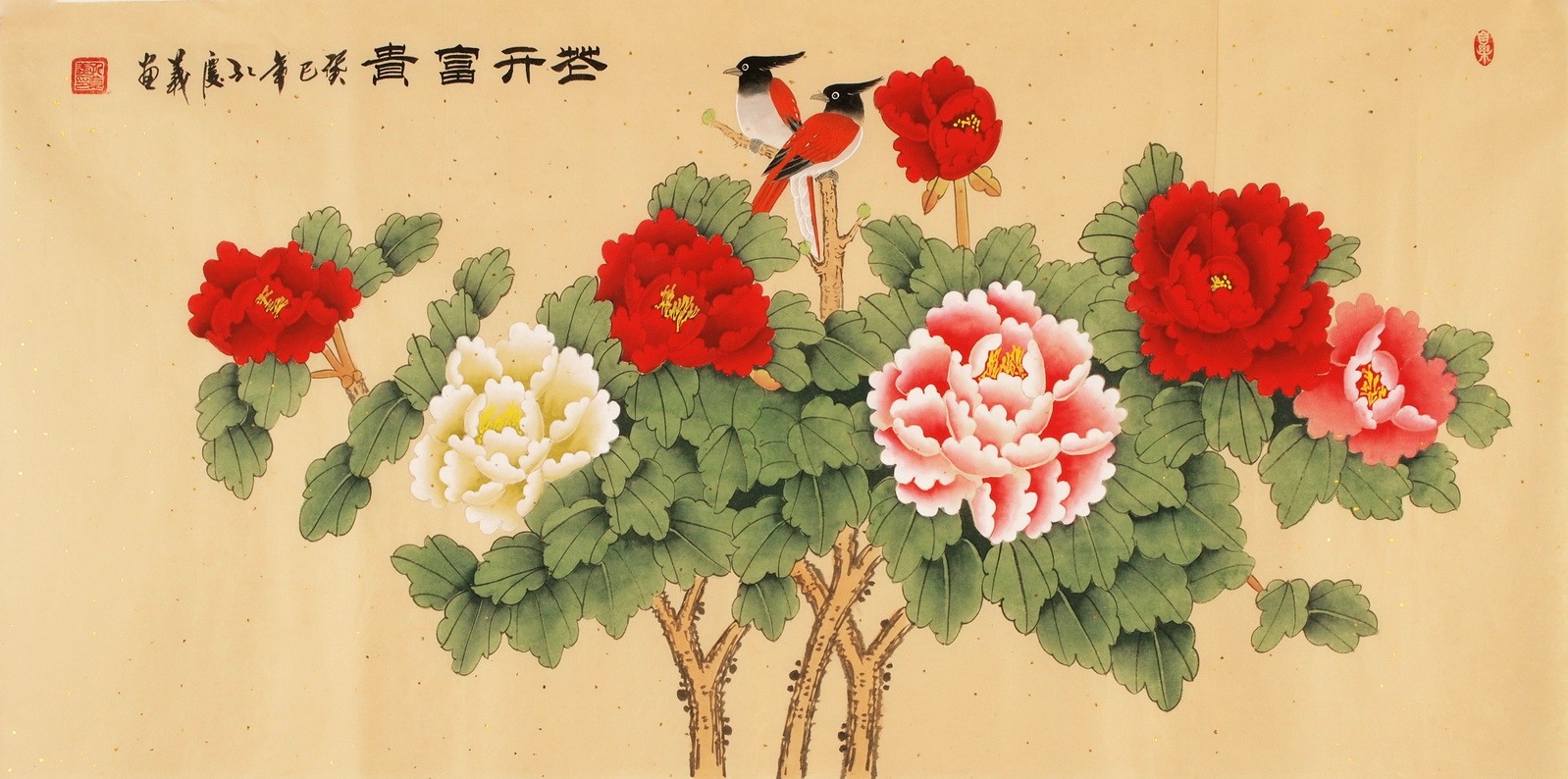Peony - CNAG003183