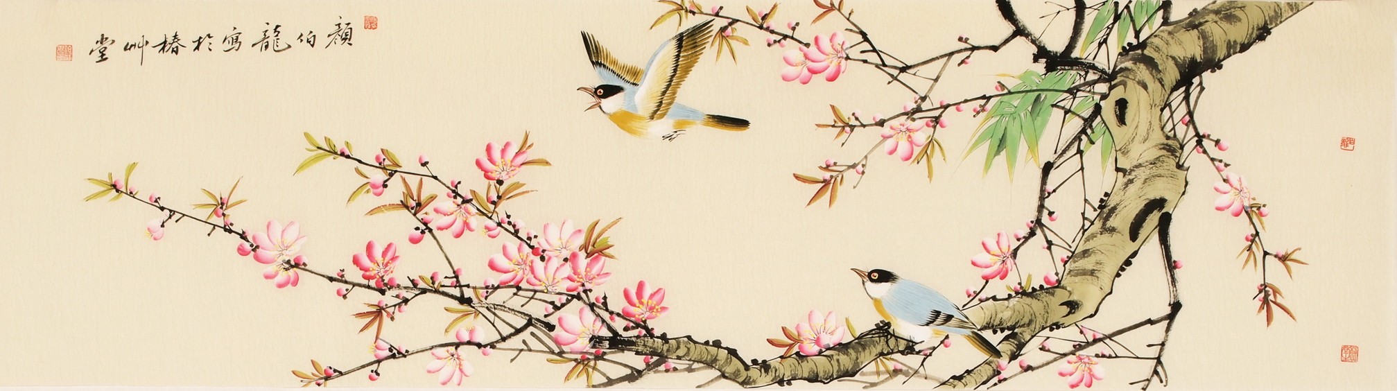 Peach Blossom - CNAG003188