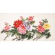 Peony - CNAG003190