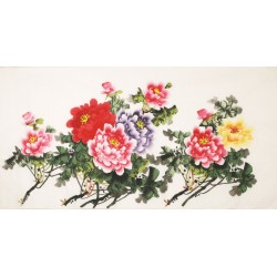 Peony - CNAG003190