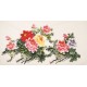 Peony - CNAG003191