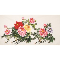 Peony - CNAG003191