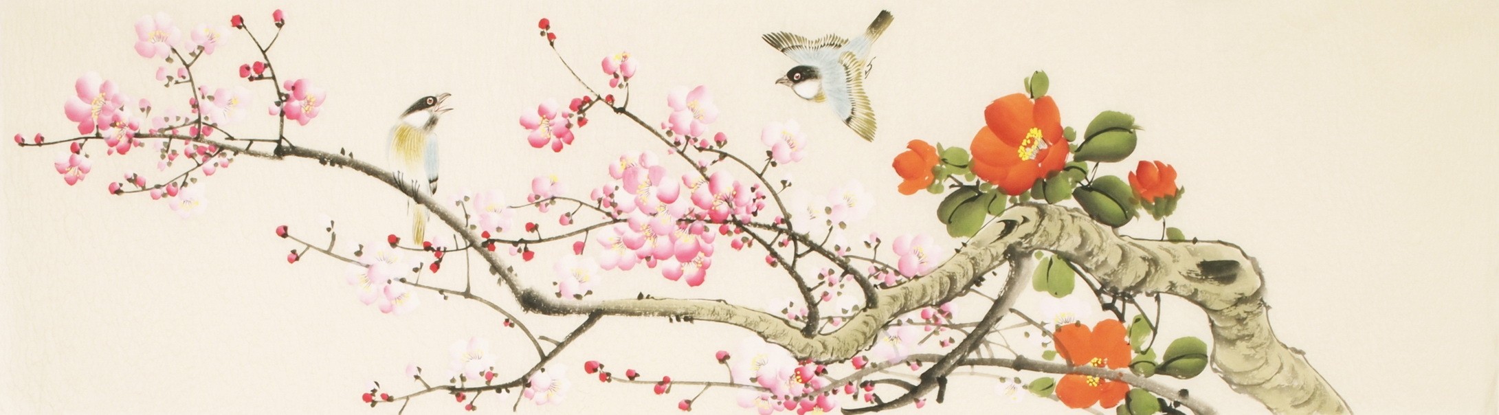Other Birds - CNAG003193