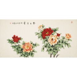 Peony - CNAG003194