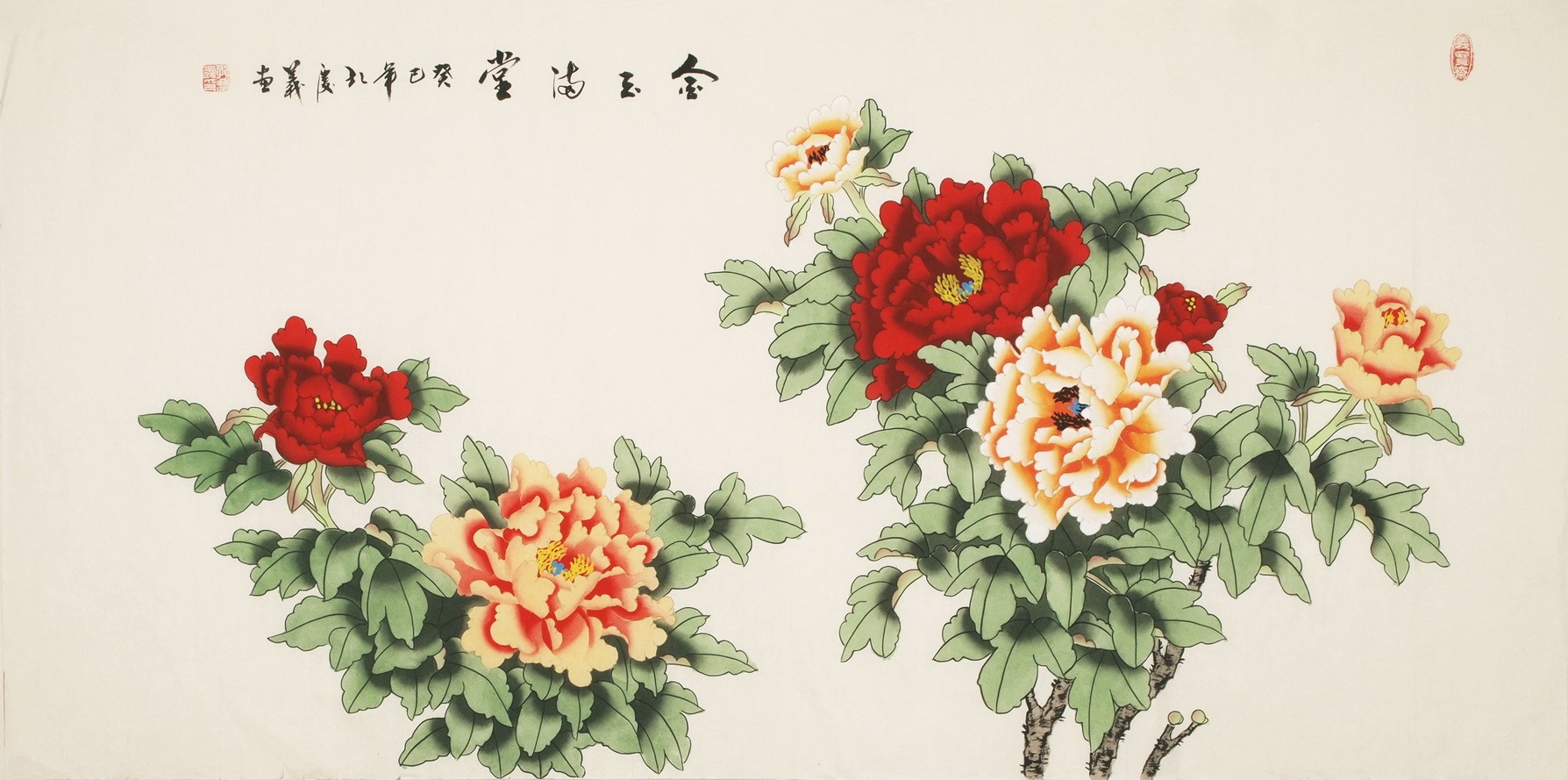 Peony - CNAG003194