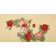 Peony - CNAG003195