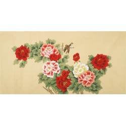 Peony - CNAG003195