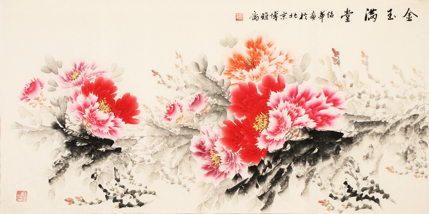 Peony - CNAG003196