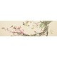 Other Birds - CNAG003197