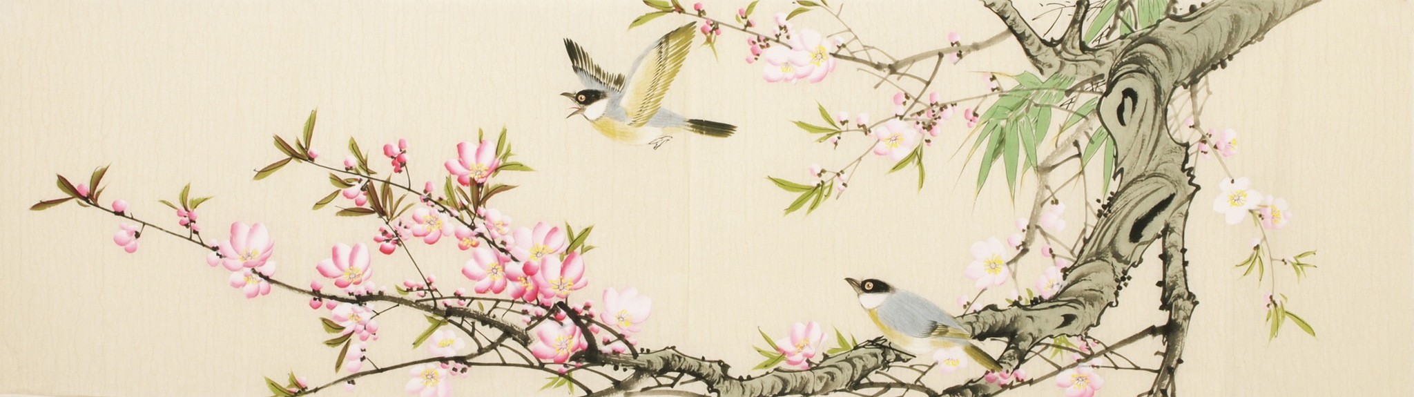 Other Birds - CNAG003197