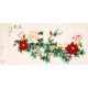 Peony - CNAG003199