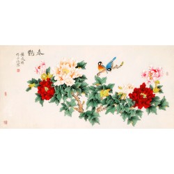 Peony - CNAG003199