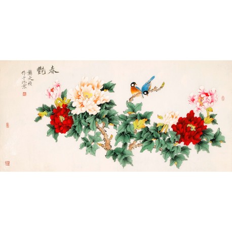 Peony - CNAG003199