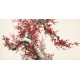 Plum - CNAG003200