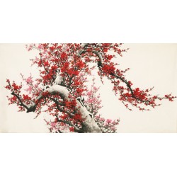 Plum - CNAG003200