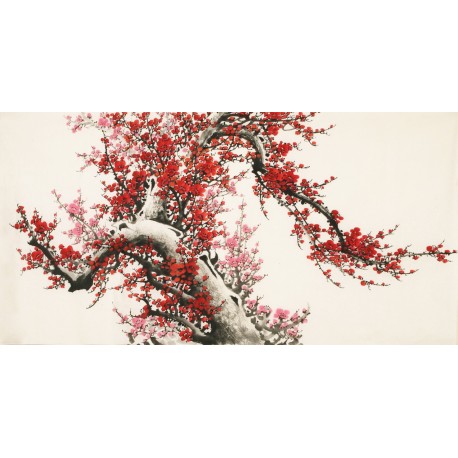 Plum - CNAG003200