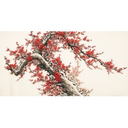 Plum - CNAG003201