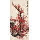 Plum - CNAG003206