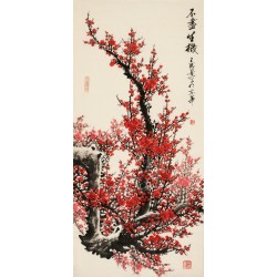 Plum - CNAG003206
