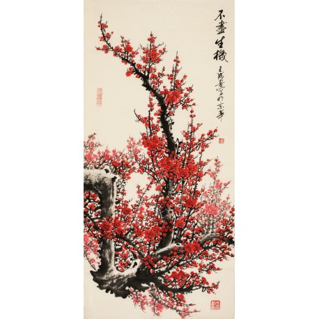Plum - CNAG003206