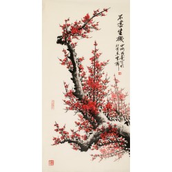 Plum - CNAG003216