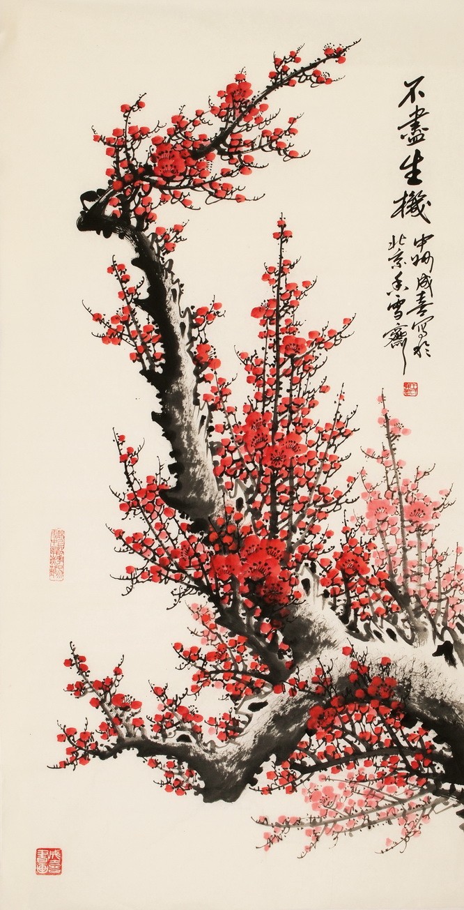 Plum - CNAG003216