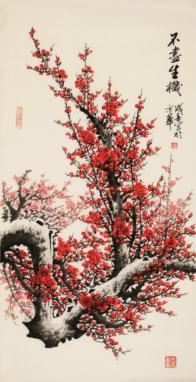 Plum - CNAG003217
