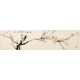 Plum - CNAG003224