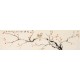 Other Birds - CNAG003227