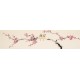 Plum - CNAG003231