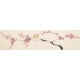 Plum - CNAG003236