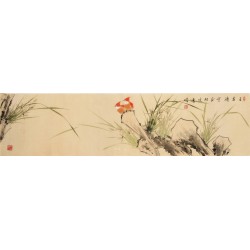 Orchid - CNAG003250