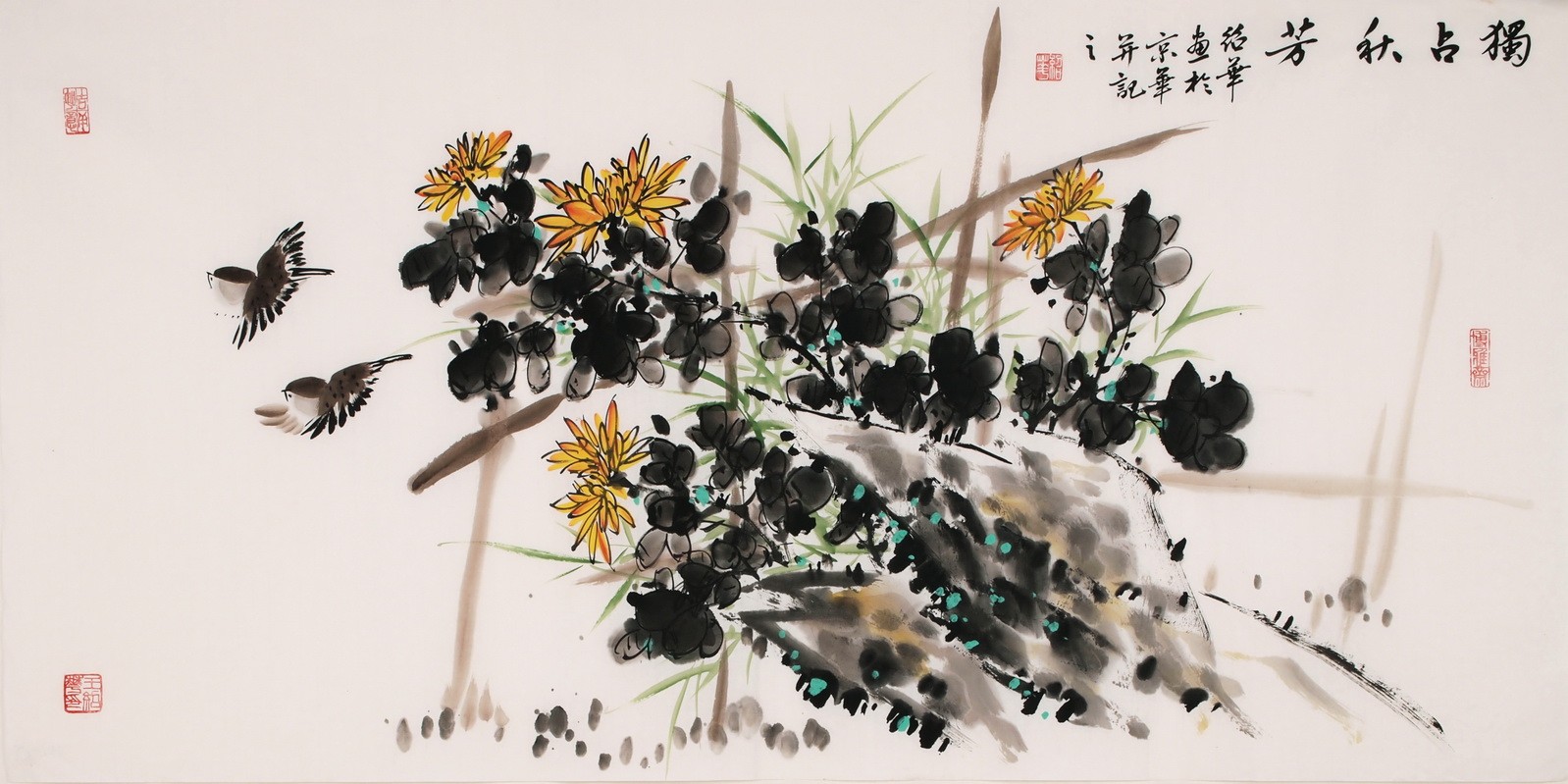 Chrysanthemum - CNAG003266
