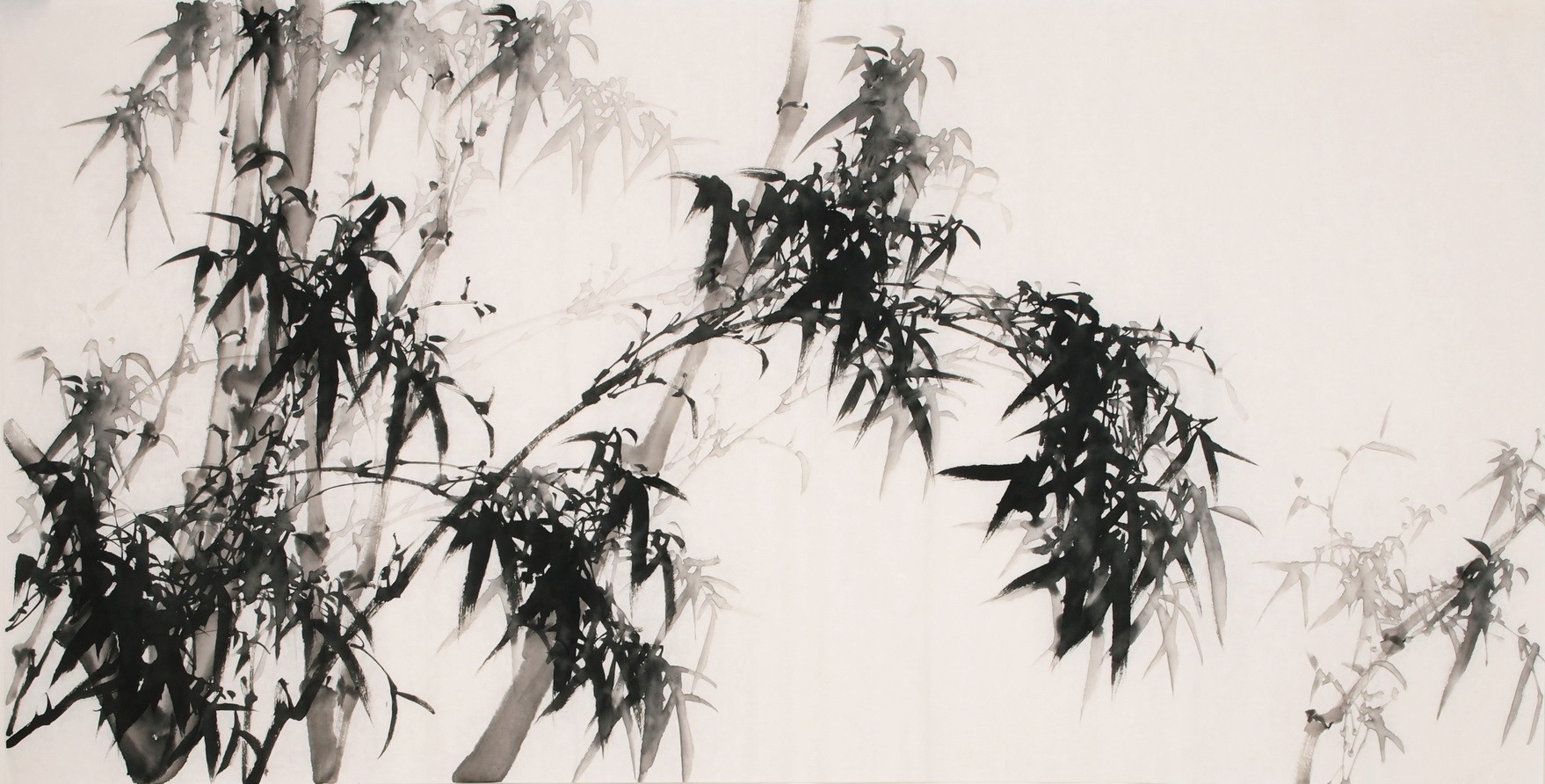 Ink Bamboo - CNAG003267