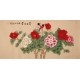 Peony - CNAG003269