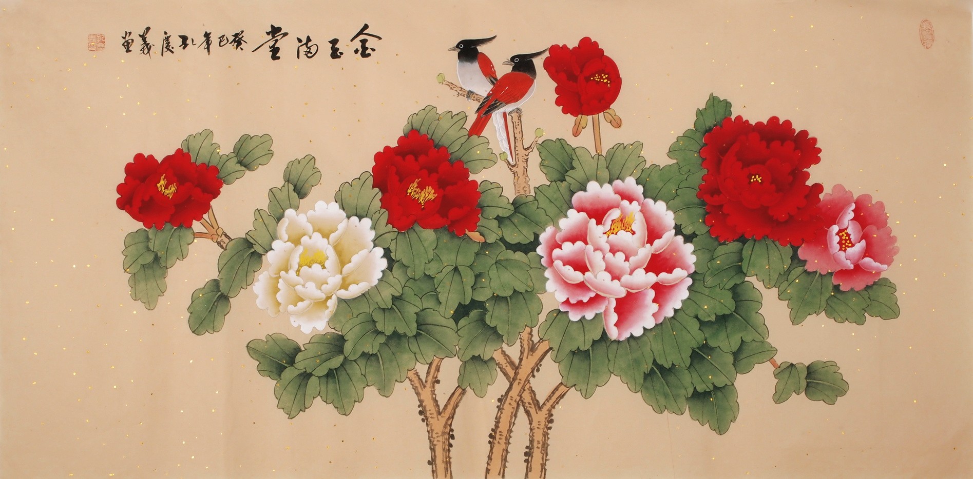 Peony - CNAG003269